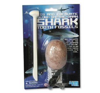 Vykopávka - svietiaci žraločí zub
